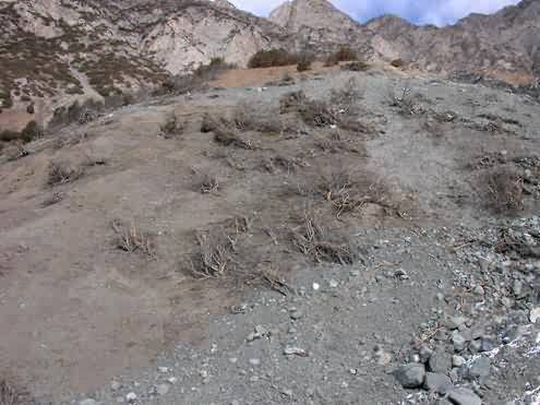The traces of the shock wave